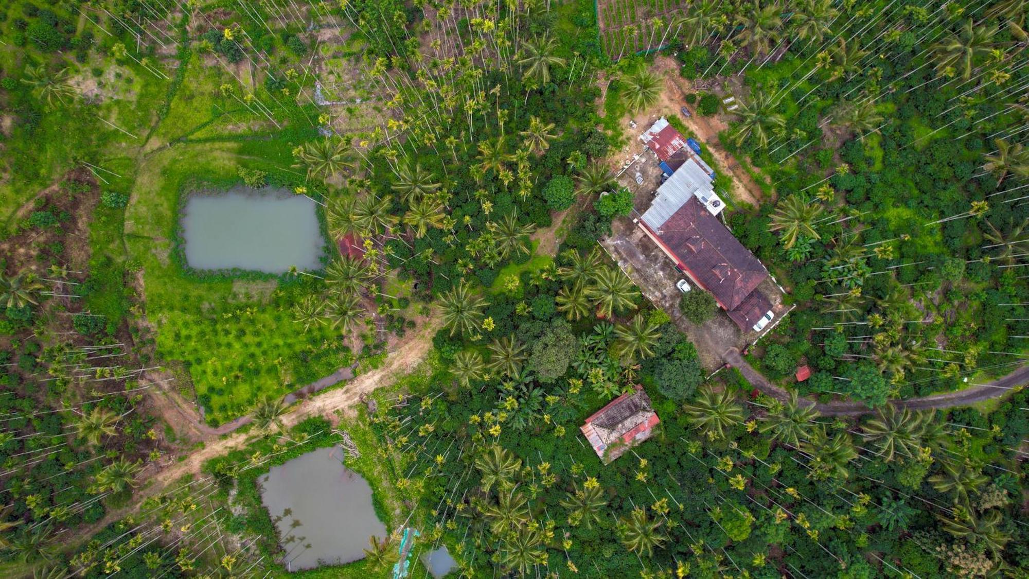 Апартаменты Wayanad Palm Grove Retreat G Floor Салтэн-Батери Экстерьер фото