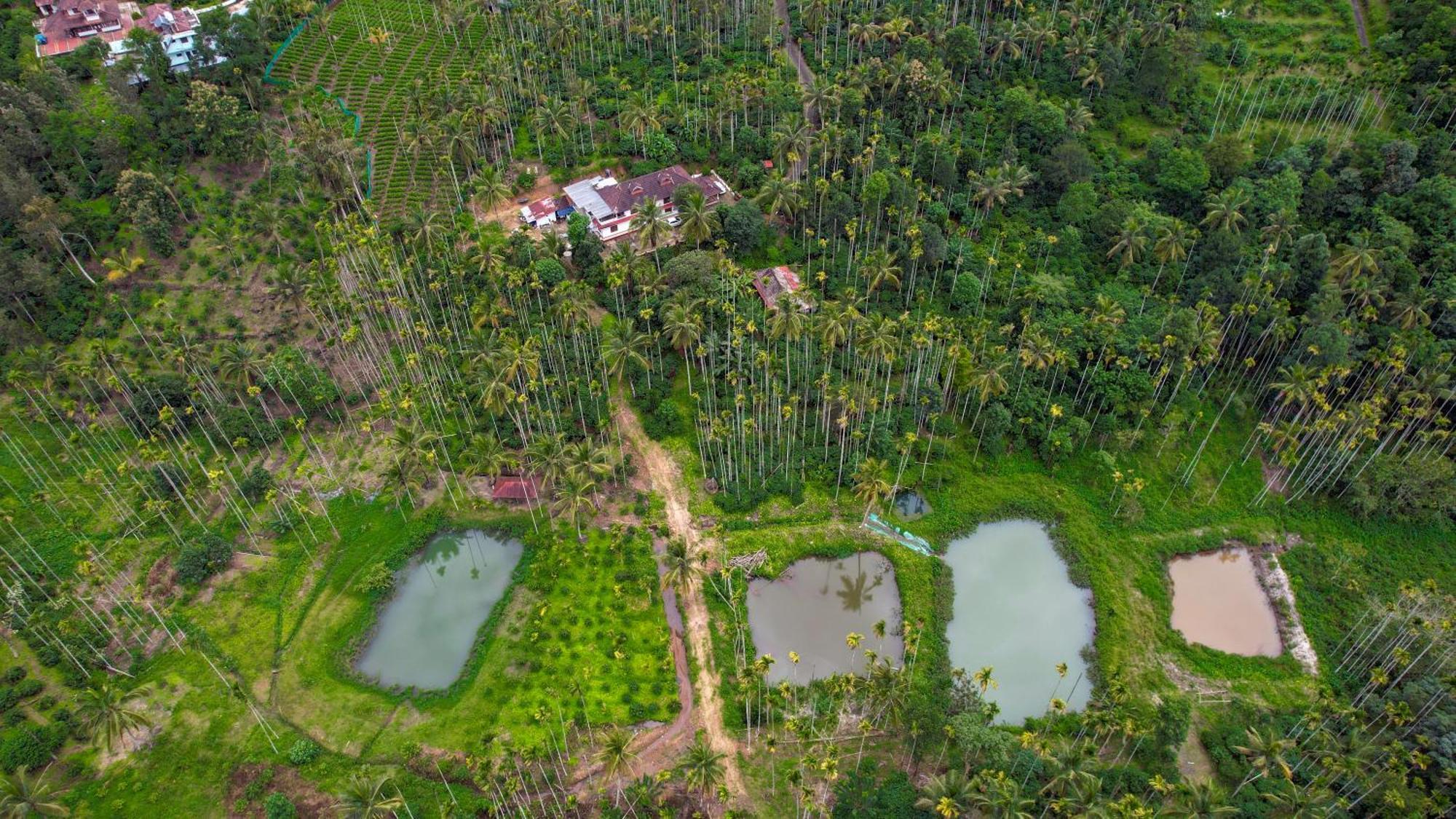Апартаменты Wayanad Palm Grove Retreat G Floor Салтэн-Батери Экстерьер фото