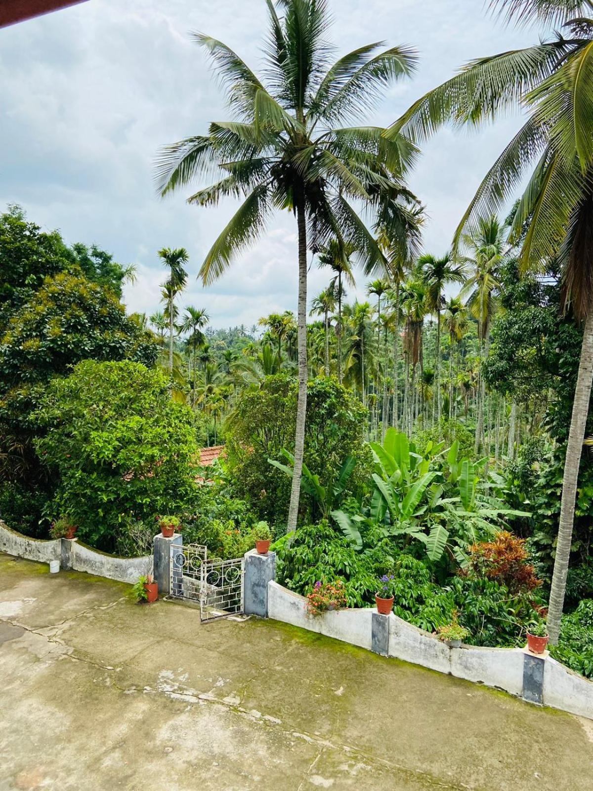 Апартаменты Wayanad Palm Grove Retreat G Floor Салтэн-Батери Экстерьер фото